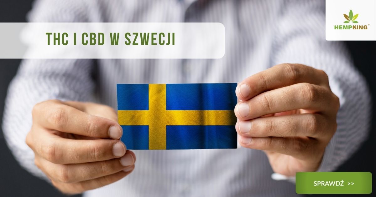 CBD i THC w Szwecji - PRAWO