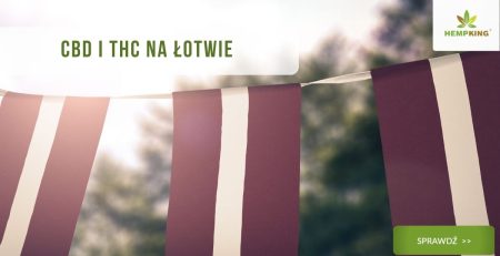 CBD i THC na Łotwie status prawa konopnego artykuł
