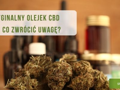 Poznaj oryginalny olejek CBD - przeczytaj nasz artykuł