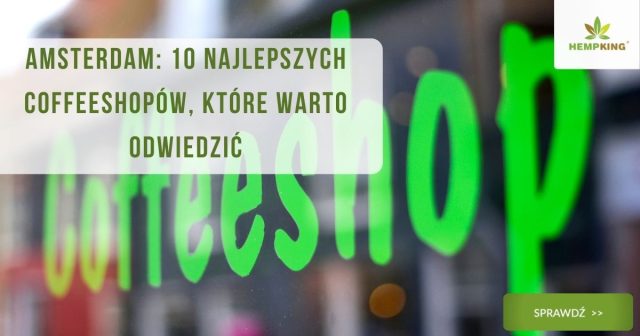 10 najlepszych coffyshopów w holandii (amsterdam)