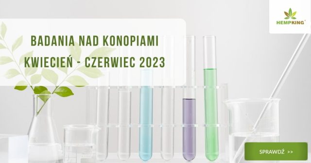 Badania nad konopiami kwiecień - czerwiec 2023