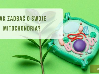 Jak zadbać o swoje mitochondria? obrazek wyróżniający dla wpisu blogowego pod tym samym tytułem.