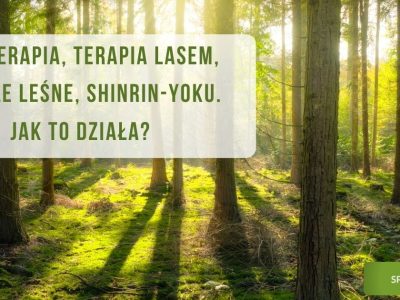 Lasoterapia, terapia lasem, kąpiele leśne, shinrin-yoku - jak to działa?