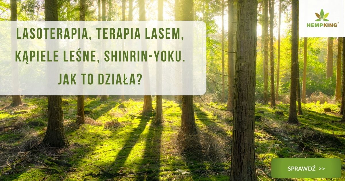 Lasoterapia, terapia lasem, kąpiele leśne, shinrin-yoku - jak to działa?