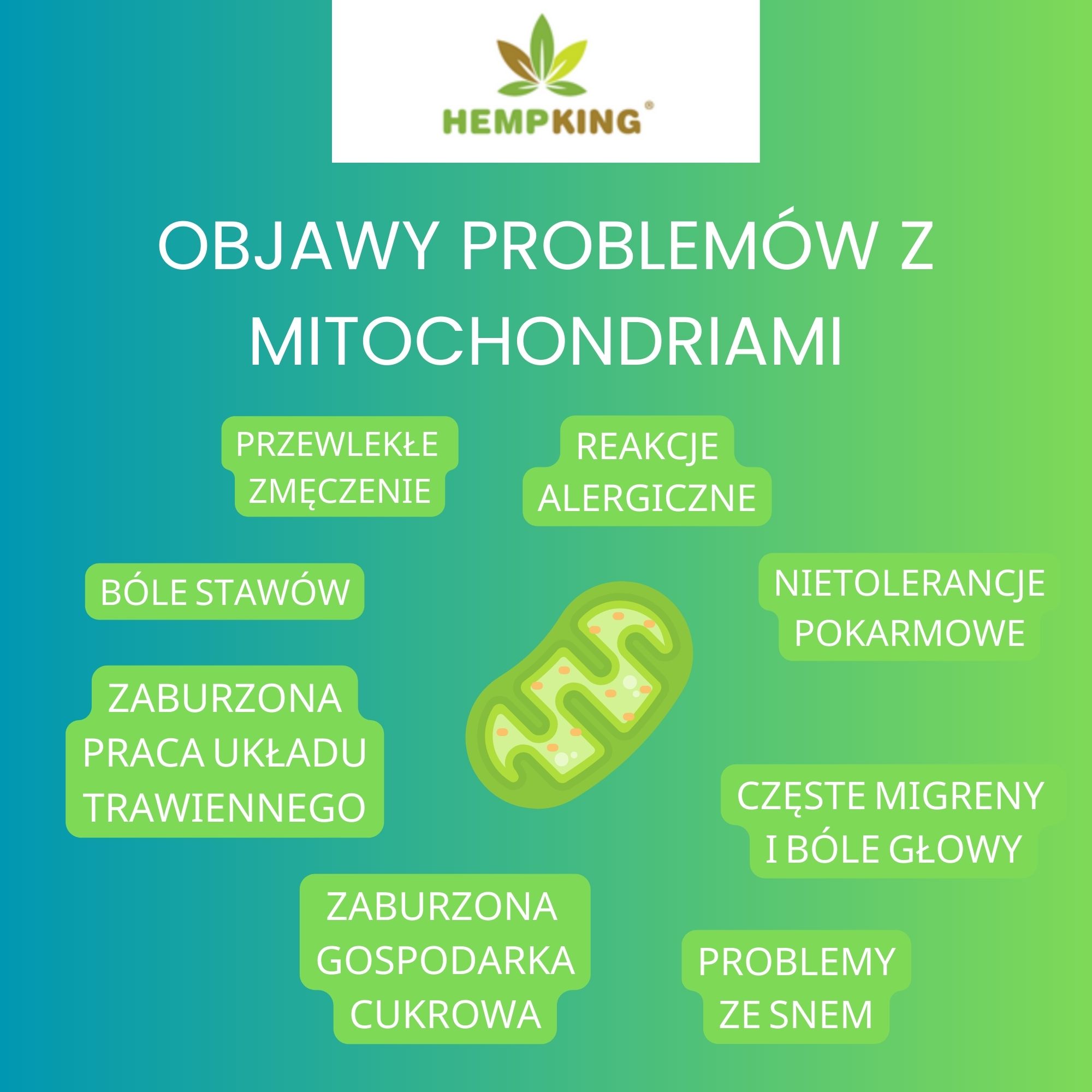 infografika - objawy problemów z mitochondriami