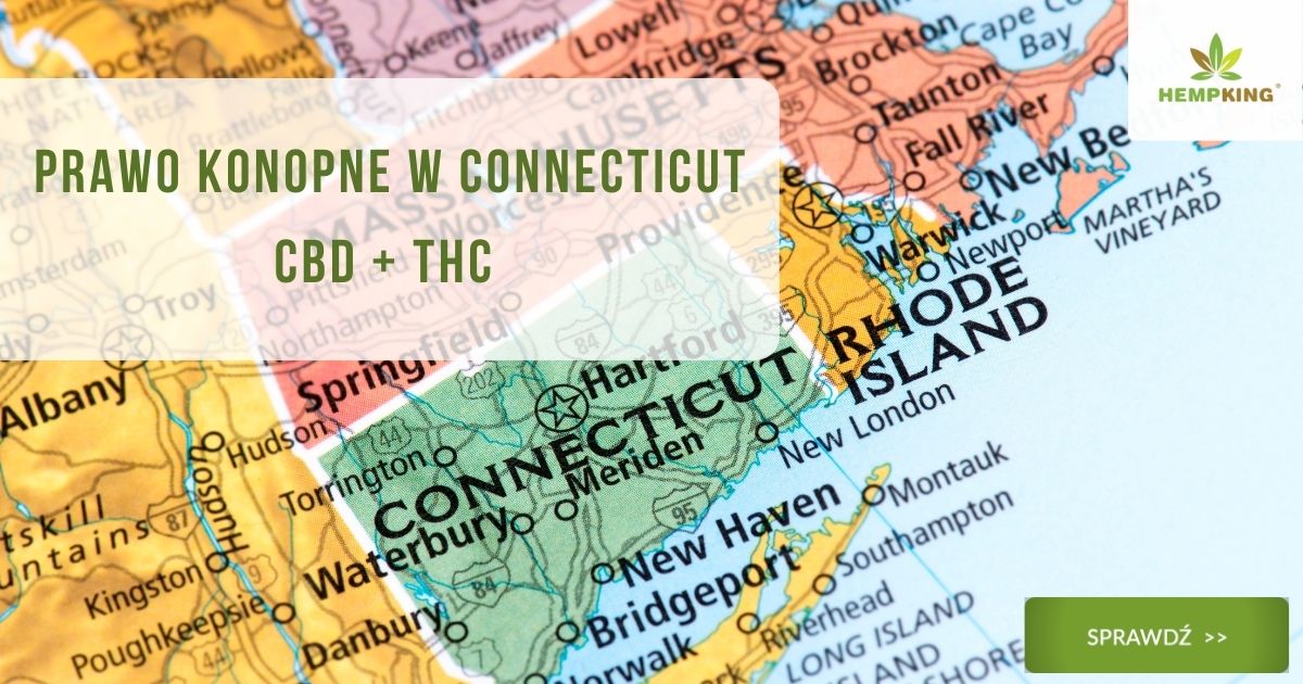 Prawo konopne w Connecticut CBD + THC  obrazek wyróżniający
