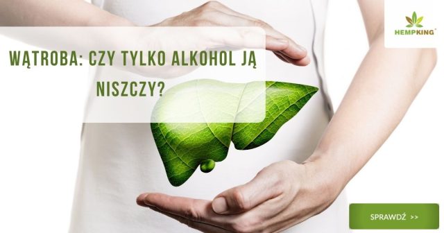 Wątroba Czy tylko alkohol ją niszczy