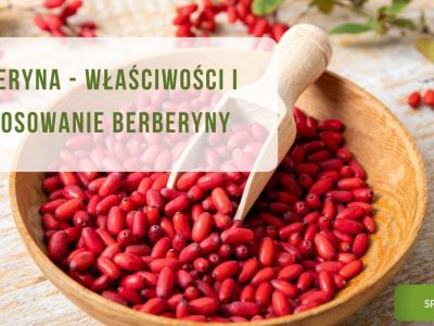 Berberyna - Właściwości i zastosowanie berberyny zdjęcie