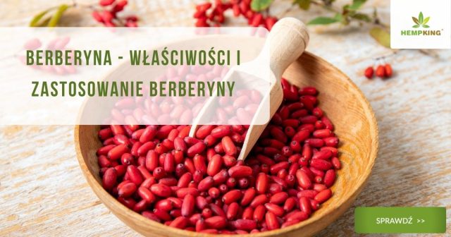 Berberyna - Właściwości i zastosowanie berberyny zdjęcie