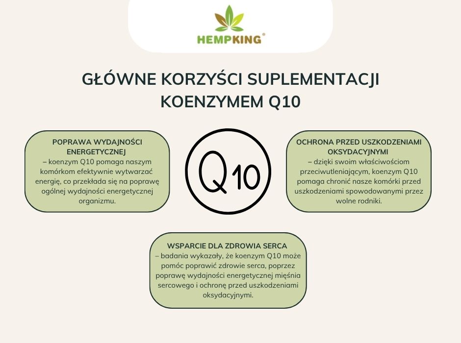 Główne korzyści suplementacji koenzymem Q10 - infografika