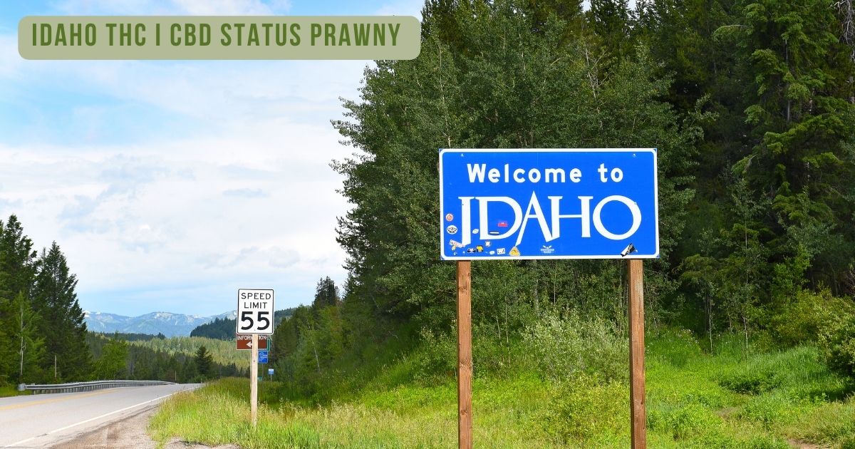 Idaho thc i cbd status prawny - zdjęcie