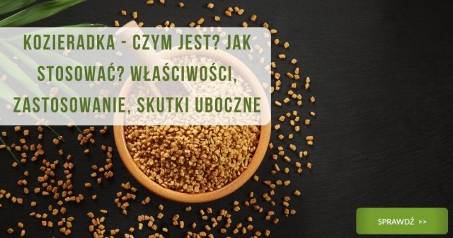 Kozieradka - czym jest Jak stosować Właściwości, zastosowanie, skutki uboczne - obrazek wyróżniający