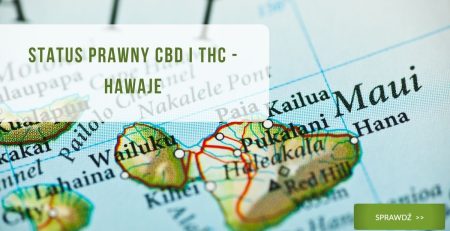 Status prawny CBD i THC - hawaje - zdjęcie