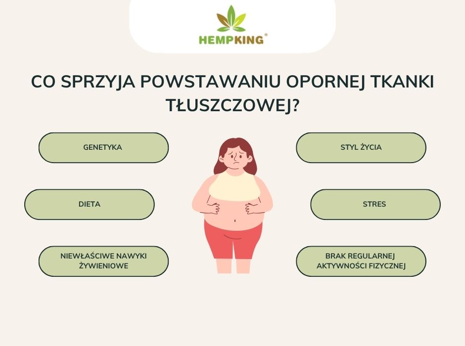 Co sprzyja powstawaniu opornej tkanki tłuszczowej - infografika