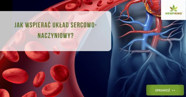 Jak wspierać układ sercowo-naczyniowy - obrazek wyróżniający