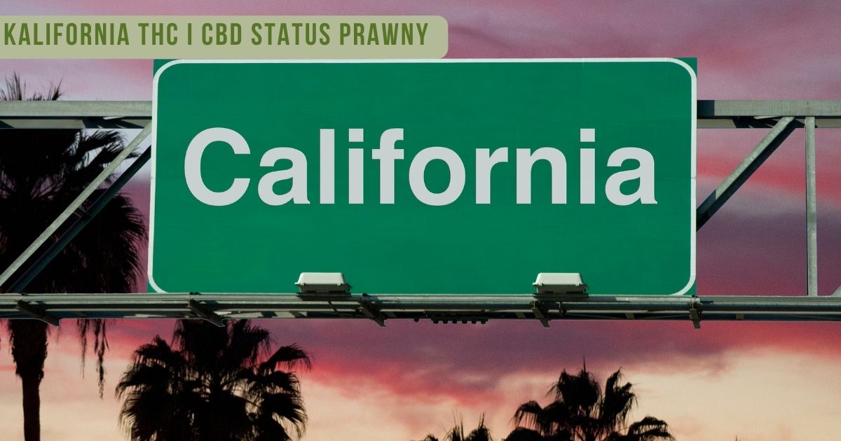 Kalifornia thc i cbd status prawny - zdjęcie