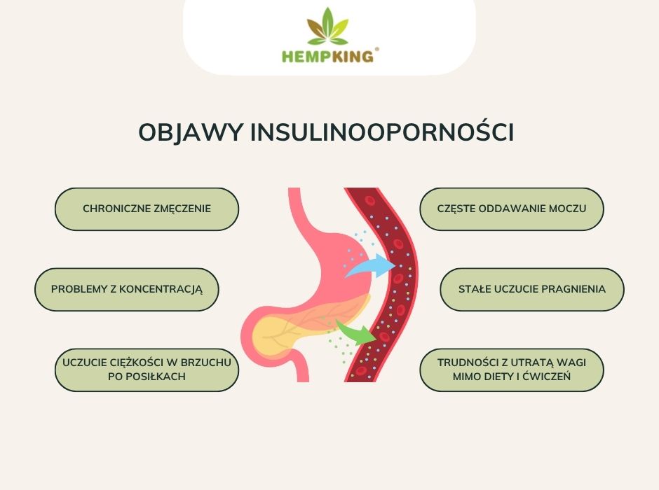 Objawy insulinooporności - infografika