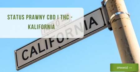 Status prawny CBD i THC - Kalifornia - obrazek wyróżniający