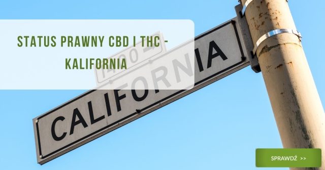 Status prawny CBD i THC - Kalifornia - obrazek wyróżniający