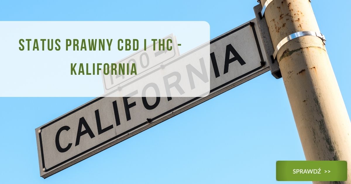 Status prawny CBD i THC - Kalifornia - obrazek wyróżniający
