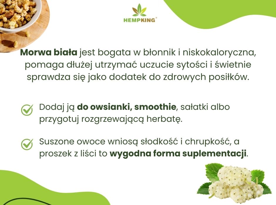 Morwa biała - infografika