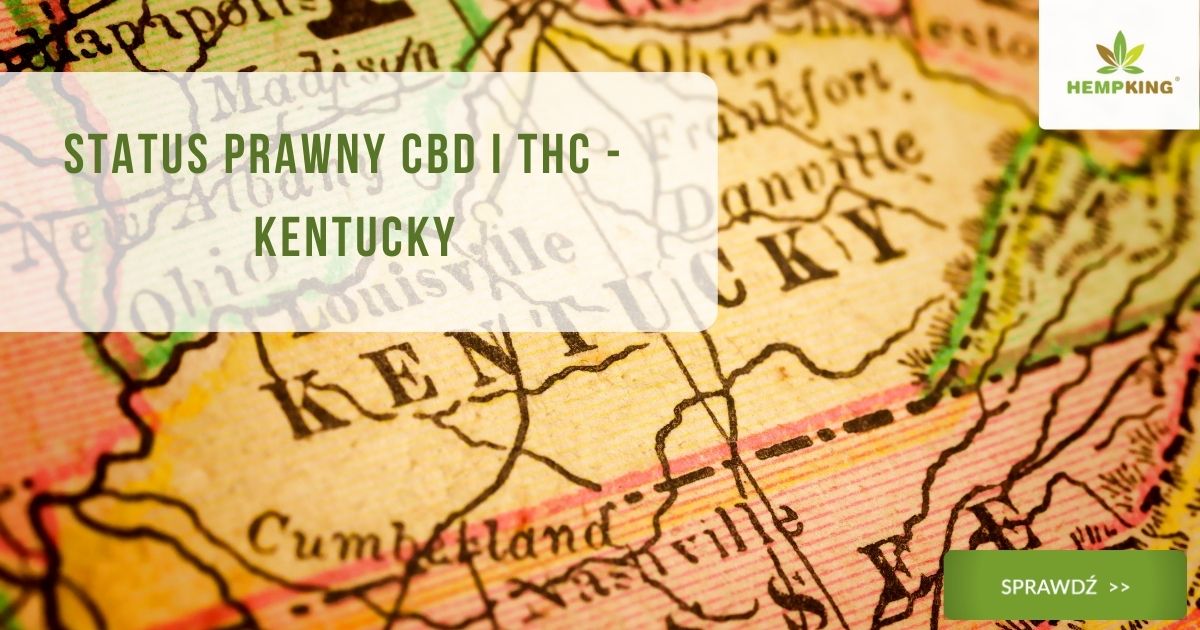 Status prawny CBD i THC - Kentucky - obrazek wyróżniający