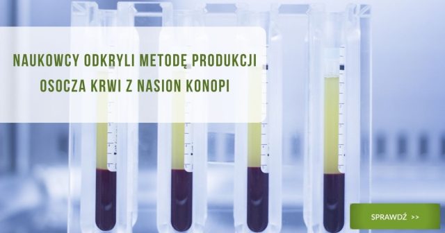 Naukowcy odkryli metodę produkcji osocza krwi z nasion konopi - obrazek wyróżniający