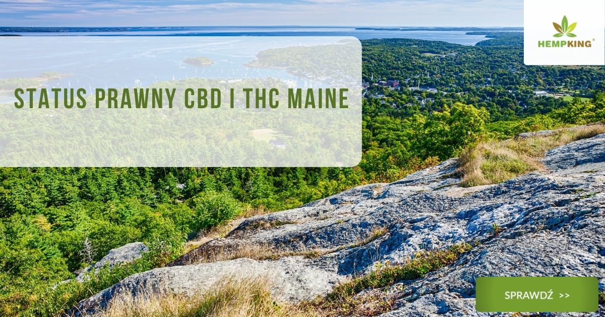 Status prawny CBD i THC Maine - obrazek wyróżniający