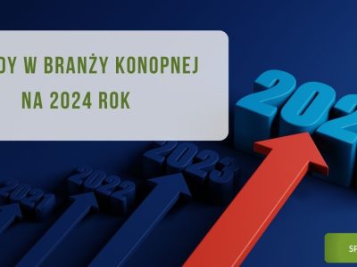 Trendy w branży konopnej na 2024 rok - obrazek wyróżniający