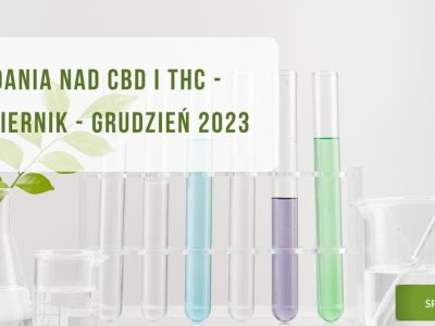 Badania nad CBD i THC - Październik - Grudzień 2023 = obrazek wyróżniający