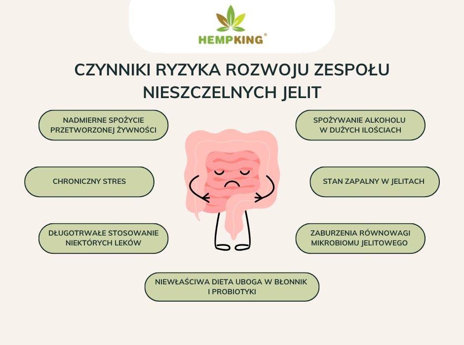 Czynniki ryzyka rozwoju zespołu nieszczelnych jelit - infografika