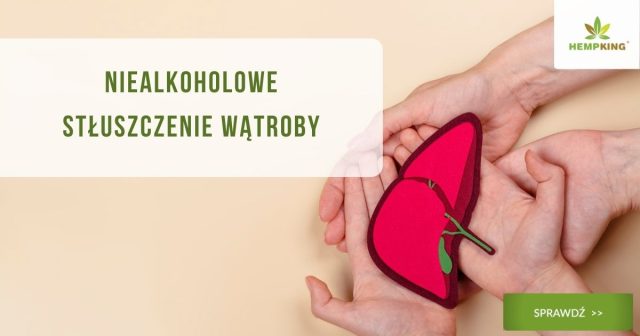 Niealkoholowe stłuszczenie wątroby - objawy, przyczyny, skutki - obrazek wyróżniający