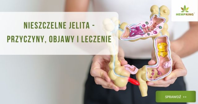 Nieszczelne jelita - przyczyny, objawy i leczenie - obrazek wyróżniający