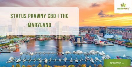 Status prawny CBD i THC Maryland - obrazek wyróżniający