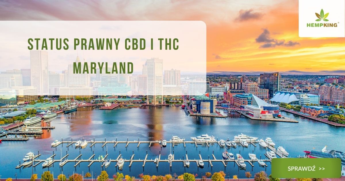 Status prawny CBD i THC Maryland - obrazek wyróżniający