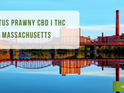 Status prawny CBD i THC Massachusetts - obrazek wyróżniający