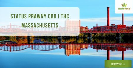 Status prawny CBD i THC Massachusetts - obrazek wyróżniający