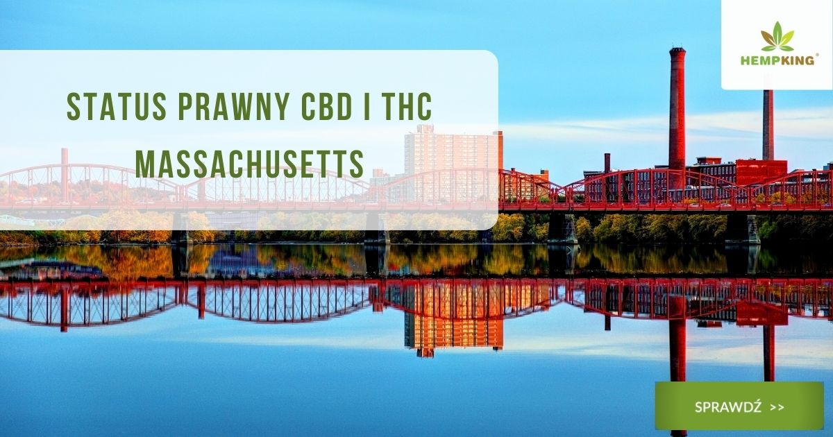 Status prawny CBD i THC Massachusetts - obrazek wyróżniający