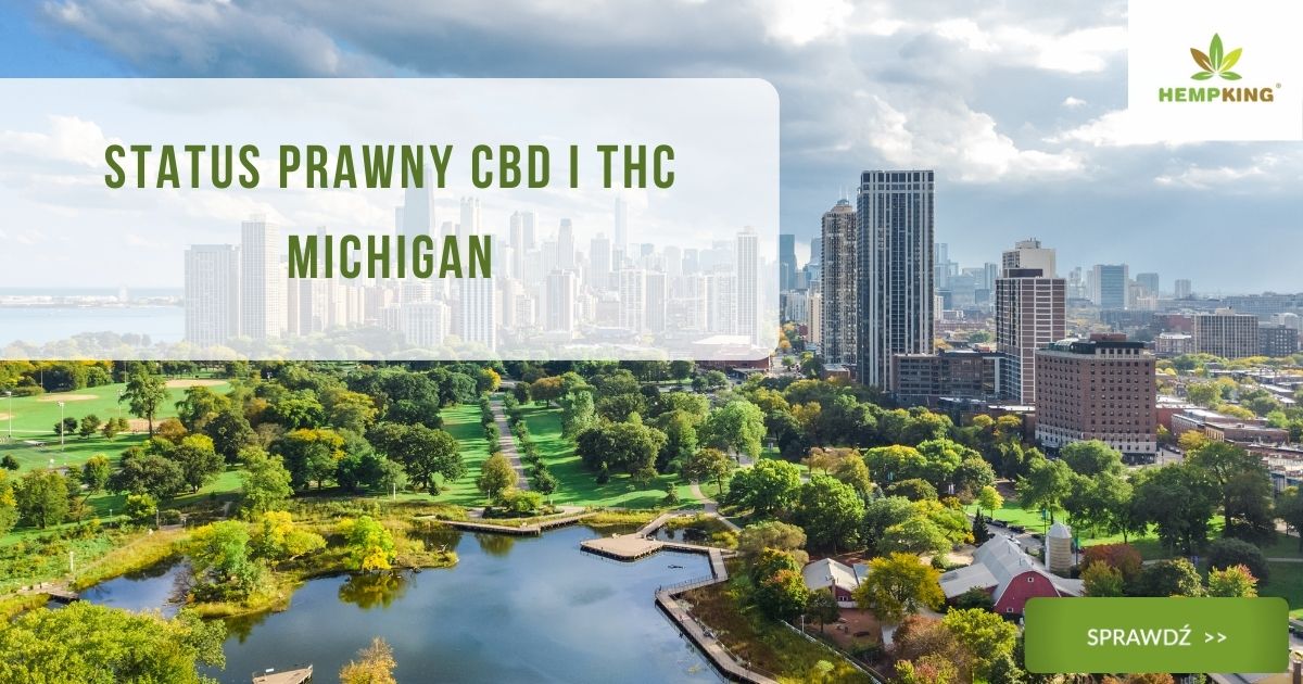 Status prawny CBD i THC Michigan - obrazek wyróżniaj acy