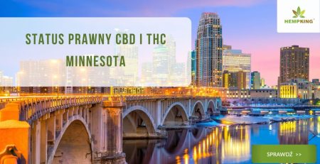 Status prawny CBD i THC Minnesota - obazek wyróżniający
