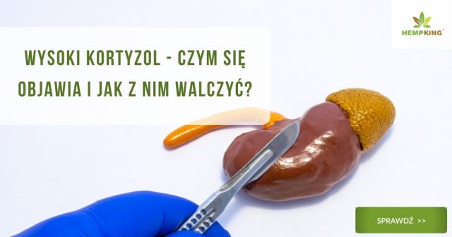 Wysoki kortyzol - czym się objawia i jak z nim walczyć? - obrazek wyróżniający