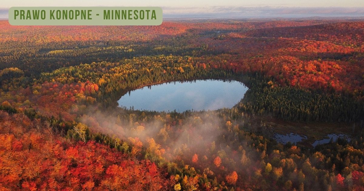 prawo konopne Minnesota - zdjęcie
