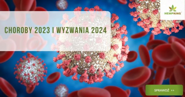 Choroby 2023 i wyzwania 2024 obrazek wyróżniający