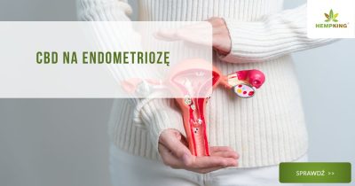 CBD na endometriozę obrazek wyróżniający