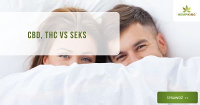 CBD, THC vs seks - obrazek wyróżniający