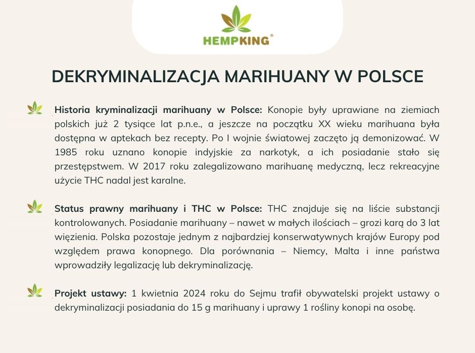 Dekryminalizacja marihuany - infografika