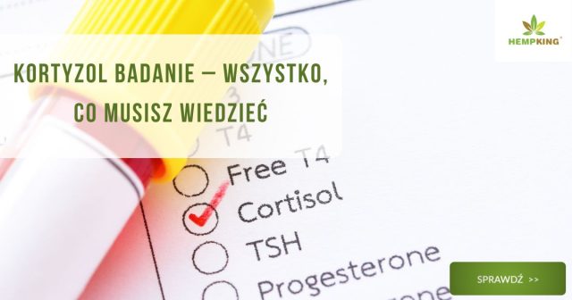 Kortyzol badanie – wszystko, co musisz wiedzieć - obrazek wyróżniający