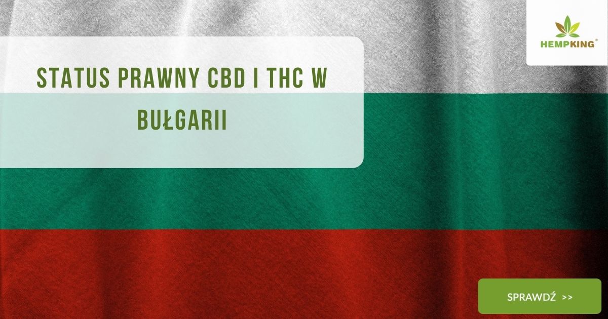 Status prawny CBD i THC Bułgaria - obrazek wyróżniający
