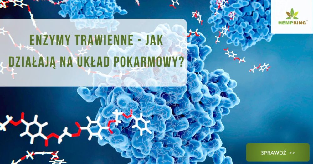 Enzymy trawienne - właściwości, suplementacja, przeciwwskazania