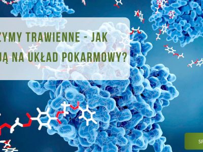 Enzymy trawienne - jak działają na układ pokarmowy - obrazek wyróżniający